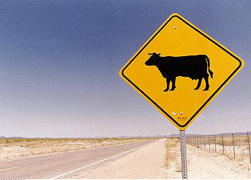 《怪物猎人：荒野》总监德田优也：玩家太刻薄 有人觉得沼喷龙很可爱