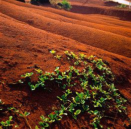 《赛博朋克2077》美国白菜价促销 不到5美元